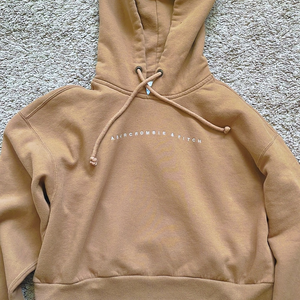 abercrombie and fitch soft & cozy hoodie